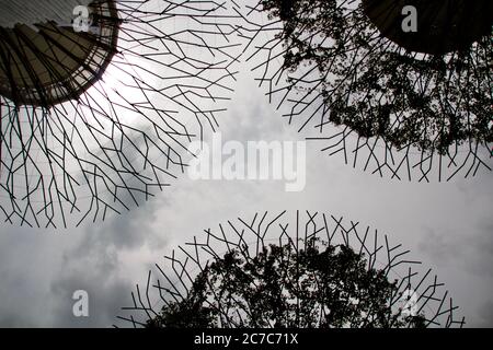 Basso scatto di installazione metallica ad albero a Singapore con grigio cielo nuvoloso sullo sfondo Foto Stock