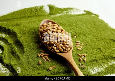 Semi di erba del siero di latte organici per germogliare in cucchiaio di legno su fondo di polvere di erba del siero di latte. Foto Stock