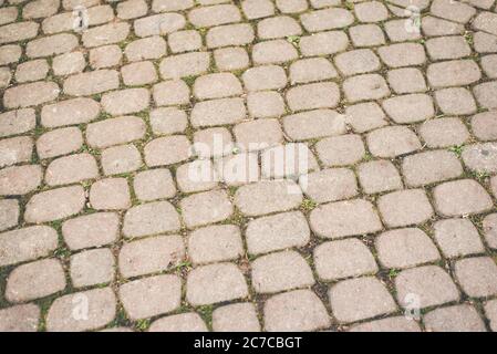 Pavimentazione in ciottoli ovali. Sfondi e trame. Foto Stock
