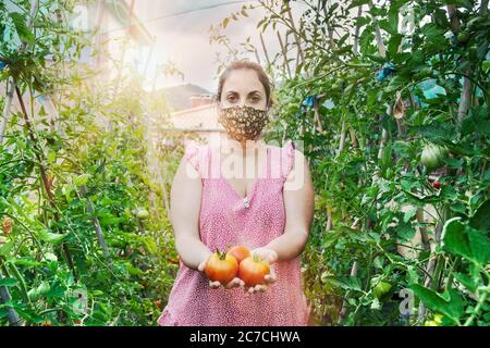 Giovane donna caucasica in serra raccogliendo alcuni pomodori rossi e verde che indossa una maschera facciale. Agricoltura di sussistenza durante il confino di covid 19 Foto Stock