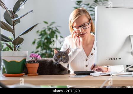 Donna che parla al telefono, utilizzando la calcolatrice per calcolare la fattura, la pianificazione delle spese mentre si lavora su desktop da casa ufficio, gatto seduto vicino Foto Stock