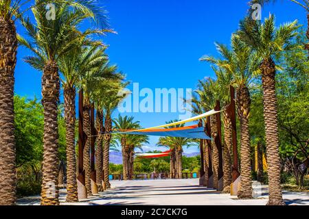 Tettoie allungate tra le palme da baleno sopra il Park Walkway Foto Stock