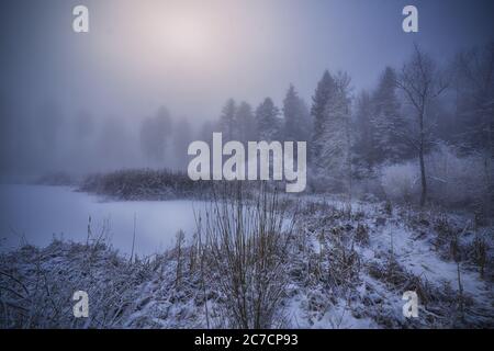 Bellissimo scatto di un laghetto congelato vicino a riva nevosa con alberi e uno sfondo foggoso Foto Stock