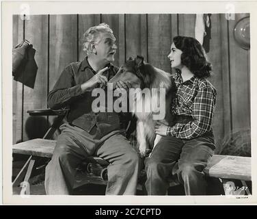 Elizabeth Taylor Frank Morgan e Pal in Courage of Lassie nel 1946 - immagine promozionale del film Foto Stock