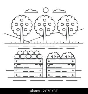 Concetto di cortile con giardino di frutta di stile sottile con cassa di legno di mele illustrazione vettoriale Illustrazione Vettoriale