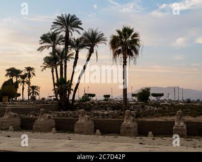 uno sguardo sul nilo dal tempio di luxor e alcune sfingi Foto Stock