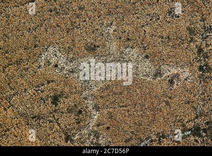 Petroglifi di Mar Bianco a Zalavruga. Russia, Carelia, Zalavruga Foto Stock