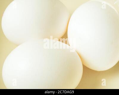 Primo piano di tre uova bianche in un recipiente Foto Stock
