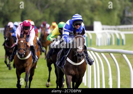 Nico De Boinville a bordo Buttsbury Lady vincendo il Download alle gare App Standard Open National Hunt Flat Race all'ippodromo di Uttoxeter. Foto Stock