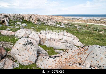 Un affioramento roccioso sulla costa occidentale di Hudson Bay con bassa marea nell'Oceano Artico, nel terreno Canadian Shield, vicino Churchill, Manitoba, Canada. Foto Stock