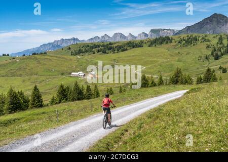 Donna anziana attiva in sella alla sua mountain bike elettrica sotto le sette cime di Churfirsten nel Cantone di San Gallo, Svizzera, paesaggio Foto Stock