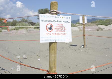 Un nido di tartarughe che si trova sulla spiaggia di Casal Velino Marina in provincia di Salerno. Foto Stock