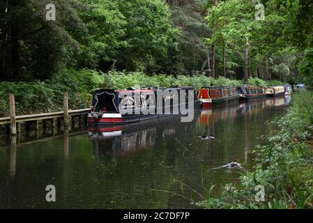 Barche ormeggiate lungo il bellissimo canale di Basingstoke a Mytchett in Surrey Foto Stock