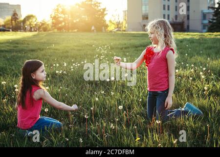 Adorabili ragazze caucasiche che soffiano dandelioni. Bambini seduti in erba su prato. Divertimento all'aperto, attività estive per bambini. Amici che si divertono Foto Stock