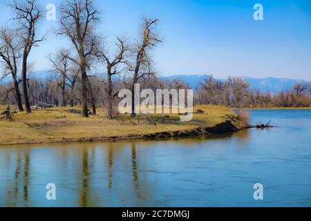 Bellissimo scatto di rive con alberi senza frondoli vicino all'acqua sotto un cielo blu Foto Stock