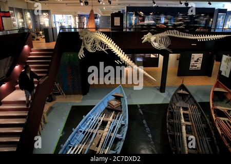 Scheletri di balene e tradizionali barche a remi faroesi nella mostra permanente del Museo Nazionale delle Isole Faroe.Torshavn. Streymoy.Faroe Islands.Territory della Danimarca Foto Stock