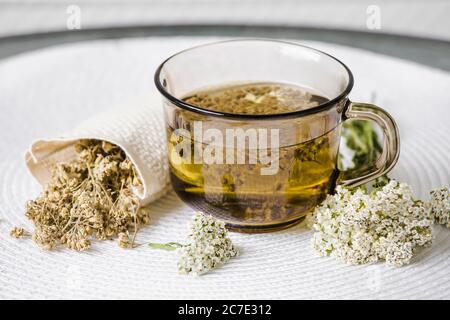 Ancora vita di Achillea millefolium, yarrow o comune yarrow tisana in vetro con tè secco in polvere e fiori freschi su bianco set minimo Foto Stock