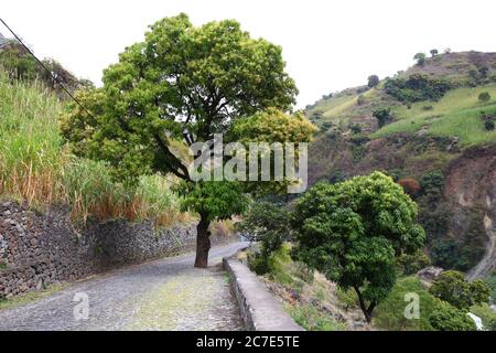 Scenic vale de Paul sull'isola di Santo Antao, Capo Verde Foto Stock