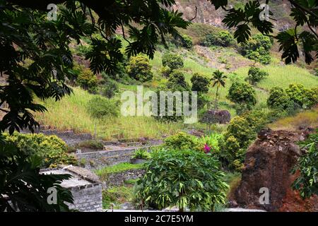 Scenic vale de Paul sull'isola di Santo Antao, Capo Verde Foto Stock