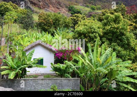 Scenic vale de Paul sull'isola di Santo Antao, Capo Verde Foto Stock