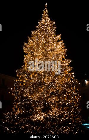 Immagine verticale di un albero di Natale illuminato splendidamente decorato a. notte Foto Stock