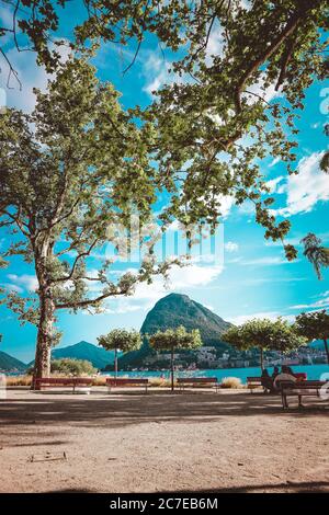 Immagine verticale di splendidi alberi verdi su una spiaggia con panchine sotto il cielo nuvoloso mozzafiato Foto Stock