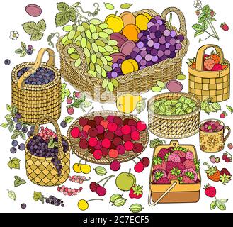 Un sacco di frutta e bacche in cestini Illustrazione Vettoriale