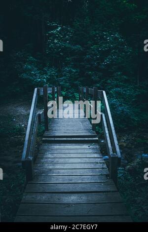 Colpo verticale di un ponte di legno nella foresta con splendidi alberi verdi in serata Foto Stock