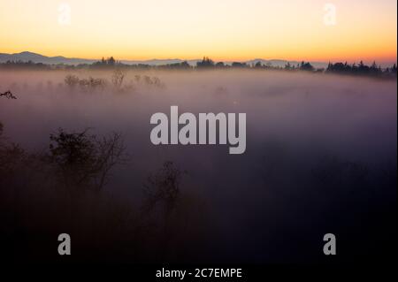 Foto magica in alto di una foresta coperta di viola spesso nebbia durante il tramonto Foto Stock