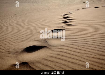 Primo piano di sabbia cantata in un deserto su un giorno di sole Foto Stock