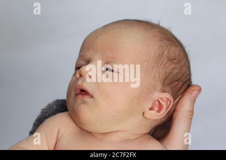 AUCKLAND, NUOVA ZELANDA - 27 agosto 2017: Un neonato cerca di concentrarsi sulla madre Foto Stock