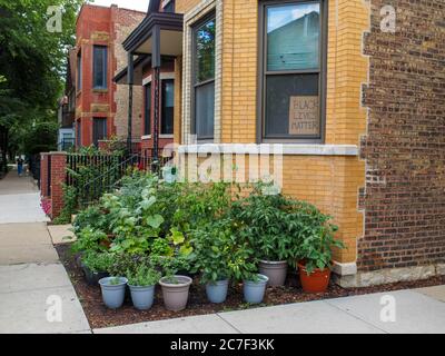 Segno nero della materia delle vite nella finestra dell'appartamento. Bucktown Neighborhood, Chicago, Illinois. Foto Stock