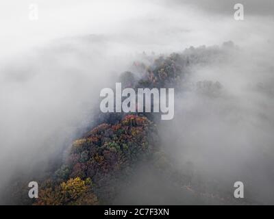 Foto aerea di una foresta circondata da nebbia sotto un cielo nuvoloso, ideale per un blog o uno sfondo Foto Stock