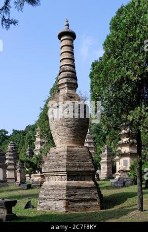 Monastero di Shaolin, luogo di sepoltura, foresta di pagoda, Shaolinsi, Zhengzhou, Henan Sheng, Cina Foto Stock