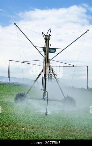 Israele, Beit Shean Valley, Kibbutz Rupin, una linea di sprinkler mobili computerizzati questa linea avanza automaticamente grazie al feedback computerizzato che produce un Foto Stock