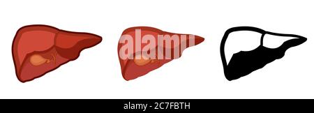 Fegato umano sano. Intero. Impostazione. Immagine a colori e icona monocromatica. Una serie di illustrazioni sugli organi interni. Oggetto vettore isolato su un bianco Illustrazione Vettoriale