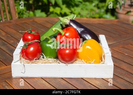 Pomodori, zucchine, peperoni, melanzane in una cassa dopo la raccolta in un orto Foto Stock