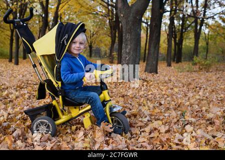 Ragazzo biondo su un triciclo giallo. Parco autunnale. Fogliame giallo, giorno di sole Foto Stock