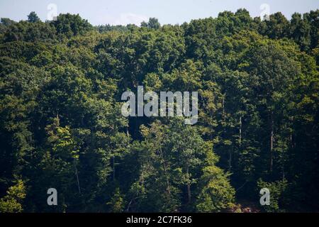 14 luglio 2020, Bloomington, Indiana, Stati Uniti: Una vista di una fitta foresta di alberi oscurano l'area in cui Vauhxx Booker è stato assalito il 4 luglio a Monroe Lake..The Indiana Department of Natural Resources rilasciato la sua indagine in un incidente 4 luglio e ha raccomandato le accuse contro diversi, tra cui Booker. Booker, che è nero, dice che era vittima di un tentativo di linching. (Immagine di credito: © Jeremy Hogan/SOPA immagini via ZUMA Wire) Foto Stock