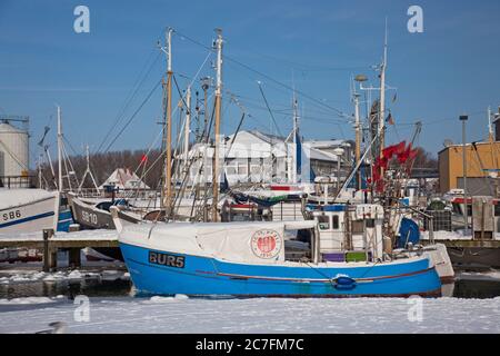 Germania, Schleswig-Holstein, porto di Burgstaaken, castello, isola Fehmarn. Foto Stock