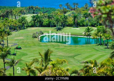 campo da golf verde erba in vacanza Foto Stock