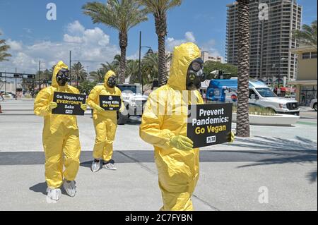 FORT LAUDERDALE, FL - 16 LUGLIO: COVID-19 oggi, un gruppo di sostenitori di PETA vestiti con abiti di nocciolo e con cartelli che proclamano: 'Prevenire pandemie: Go Vegan', è sceso su Fort Lauderdale Beach nella contea di Broward, che ha oltre 32,000 casi confermati di COVID-19. PETA nota che confinare e uccidere animali per cibo è stato collegato alla SARS, influenza suina, influenza aviaria, e il nuovo coronavirus. Inoltre, l'industria della carne ha permesso ai lavoratori dei macelli di affrontare una diffusione quasi incontrollata del virus. Credit: Storms Media Group/Alamy Live News Foto Stock