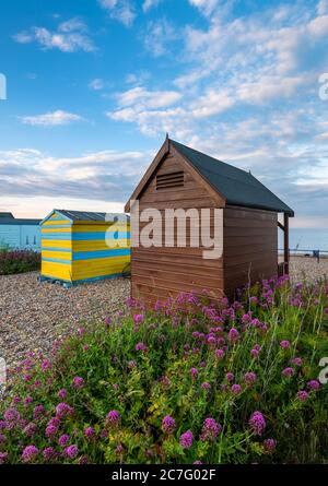 Capanne sulla spiaggia di Kingsdown vicino a Deal con fiori rossi Valeriani in primo piano. Foto Stock