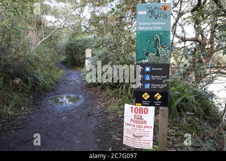 Sydney Harbour National Park, Bondi a Manly Walk, Bradleys Head e Taylors Bay, percorsi a piedi per Chowder Head a Mosman, Sydney, NSW, Australia Foto Stock