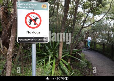Non c'è segno per i cani nel Sydney Harbour National Park, nei sentieri per le passeggiate Bondi to Manly Walk, Bradleys Head e Taylors Bay verso Chowder Head a Mosman, Sydney, NSW Foto Stock