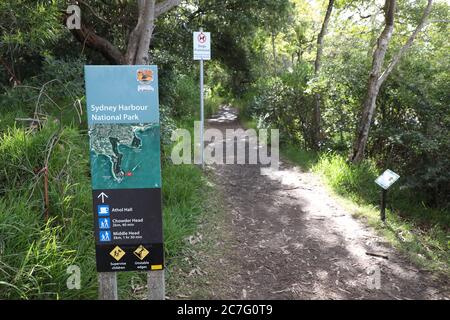 Sydney Harbour National Park, Bondi a Manly Walk, Bradleys Head e Taylors Bay, percorsi a piedi per Chowder Head a Mosman, Sydney, NSW, Australia Foto Stock