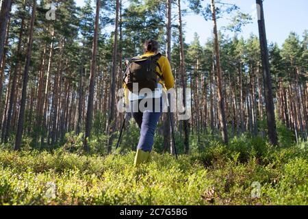 Passeggiate nella foresta estiva. Escursione turistica femminile da sola. Foto Stock