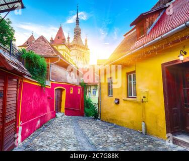 Splendida vista estiva della città medievale di Sighisoara e Torre dell'Orologio costruita da Sassoni, Transilvania, Romania, Europa Foto Stock