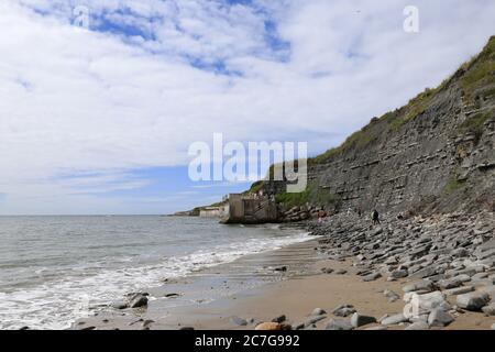 Caccia ai fossili a bassa marea tra Lyme Regis e Charmouth, Dorset, Inghilterra, Gran Bretagna, Regno Unito, Regno Unito, Europa Foto Stock