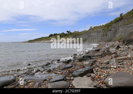 Caccia ai fossili a bassa marea tra Lyme Regis e Charmouth, Dorset, Inghilterra, Gran Bretagna, Regno Unito, Regno Unito, Europa Foto Stock